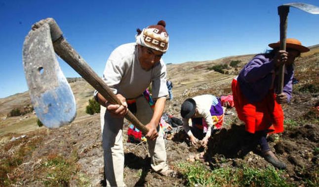 Lima y La Libertad son las regiones con mayor desigualdad